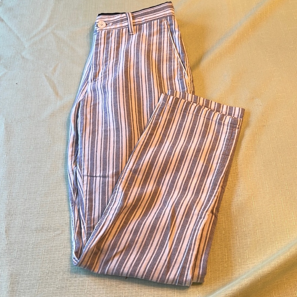 NWT Zara slim fit pants